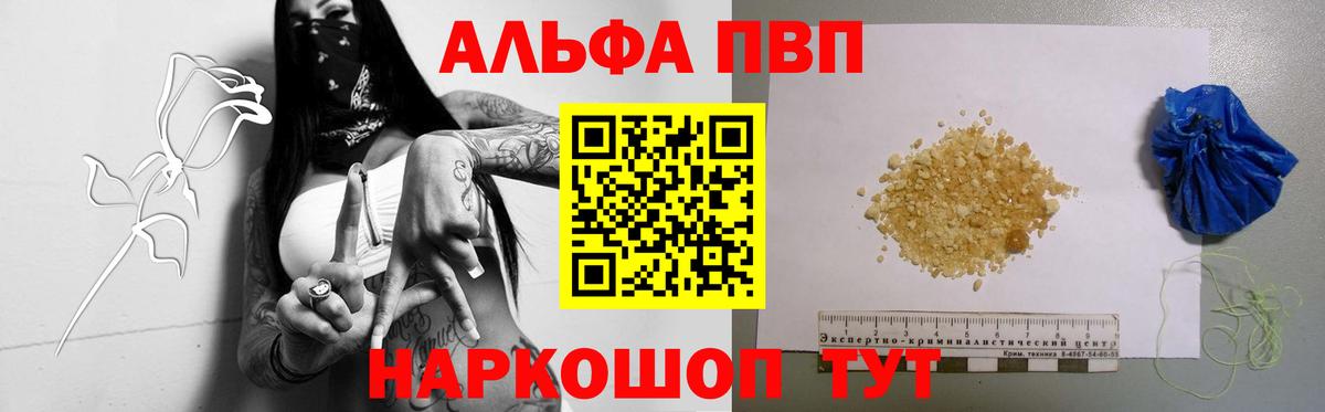 A PVP СК КРИС Усть-Джегута