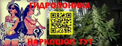 индика Малоярославец